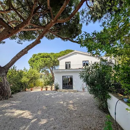 Maison De Caractere -ajaccio * 아작시오